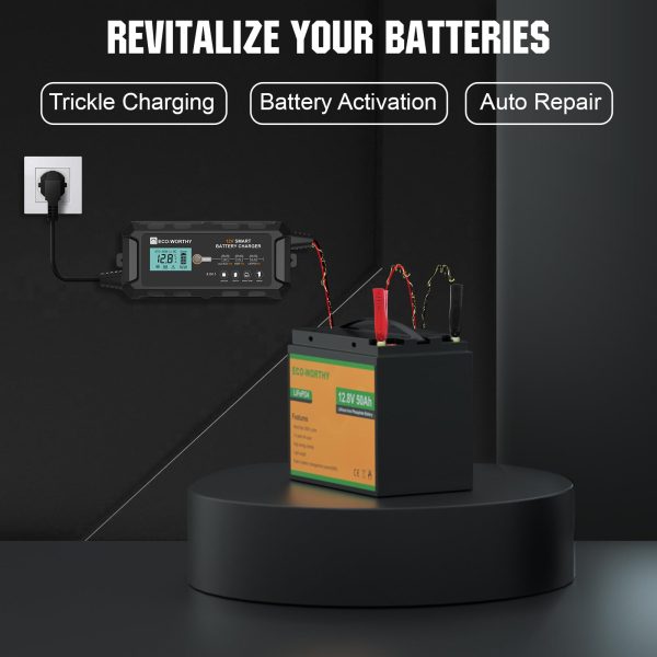 ECO-WORTHY 10-Amp 12V Smart Fully Automatic Battery Charger Maintainer Trickle Charger and Desulfator for Lead Acid, LiFePO4 Battery Car Motorcycle Marine