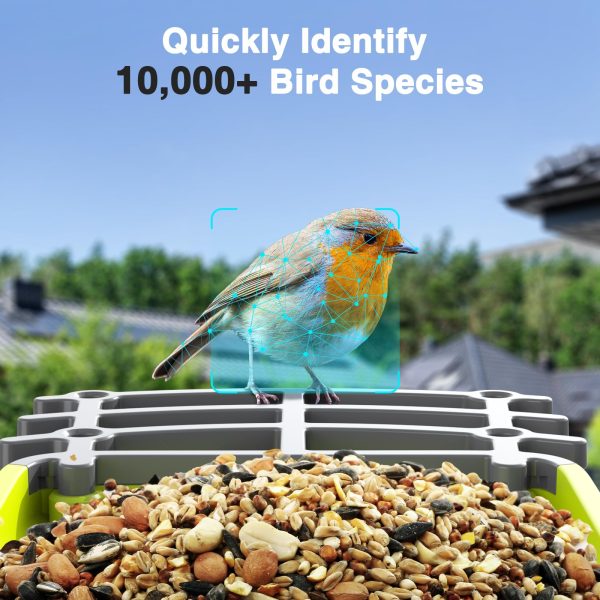 Smart Bird Feeder with Camera AI Identify Bird Species, 4MP HD Smart Bird Camera for Outdoor with Solar Panel, Auto Capture Bird Videos & Motion Detection, Bird Watching Camera TF Card Included