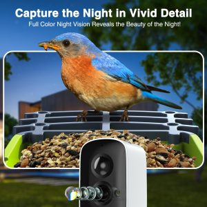 Smart Bird Feeder with Camera AI Identify Bird Species, 4MP HD Smart Bird Camera for Outdoor with Solar Panel, Auto Capture Bird Videos & Motion Detection, Bird Watching Camera TF Card Included