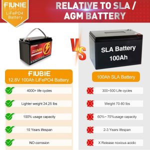 FIUNIE 12V 100Ah lithium battery with Bluetooth for trolling motor, RV, Comping, Marine, Solar, Off-Grid, Lifepo4 Battery Deep Cycles Rechargeable Low Temp Protection, Smart BMS, 10-Year Lifespan