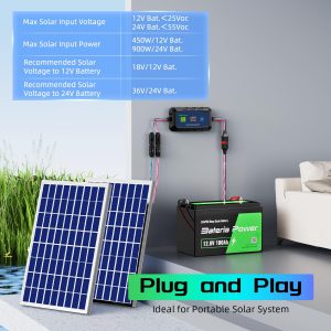 30A Solar Charge Controller 12V 24V, Bateria Power PWM Intelligent Plug and Play Portable Solar Regulator, LCD Display for Solar Panels Compatible with LFP AGM SLD FLA, for RV, Off-Gird (SunRock 30E)